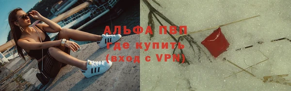 a pvp Белокуриха