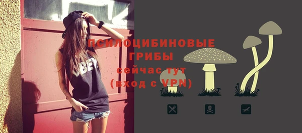 MDMA Беломорск