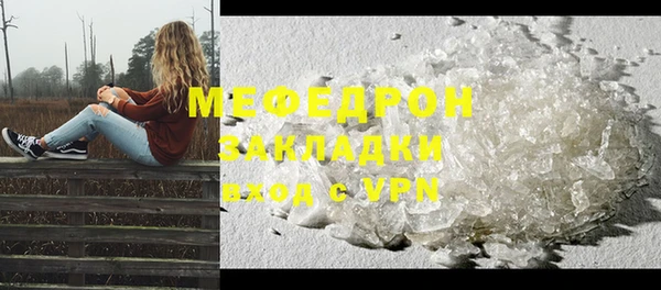 молекула духа Богданович