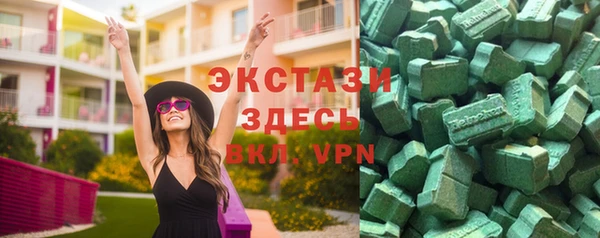 молекула духа Богданович