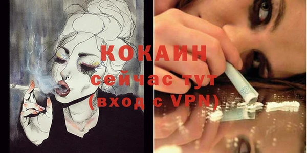 молекула духа Богданович