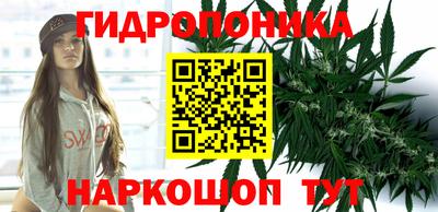 дмт Балаково