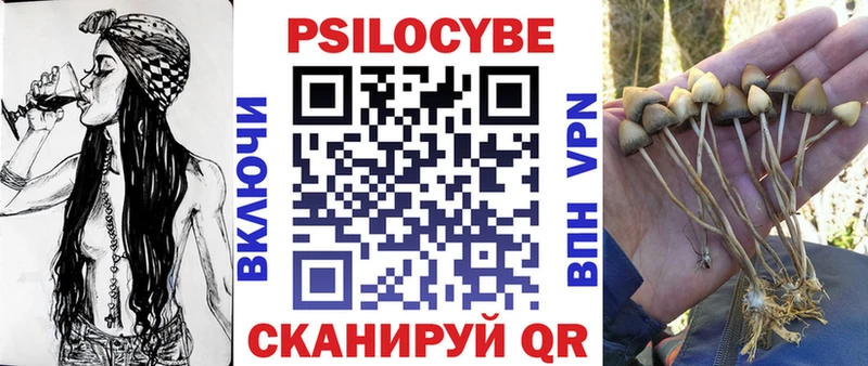 Галлюциногенные грибы мицелий  наркошоп  Видное 