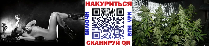 Шишки марихуана VHQ Видное